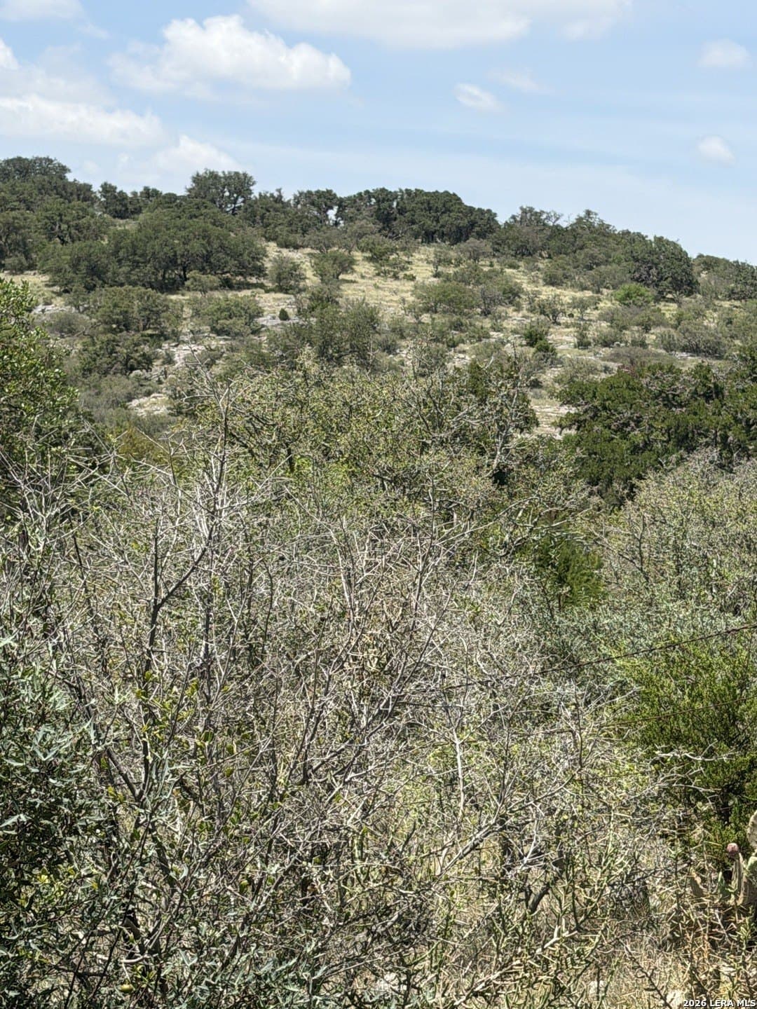 33.93 acres in Edwards County - photo 18