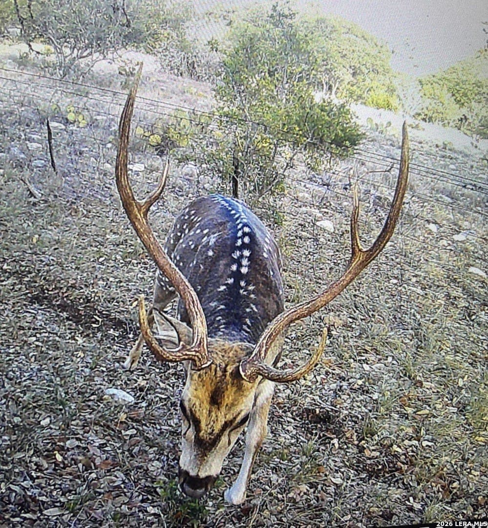 33.93 acres in Edwards County - photo 6