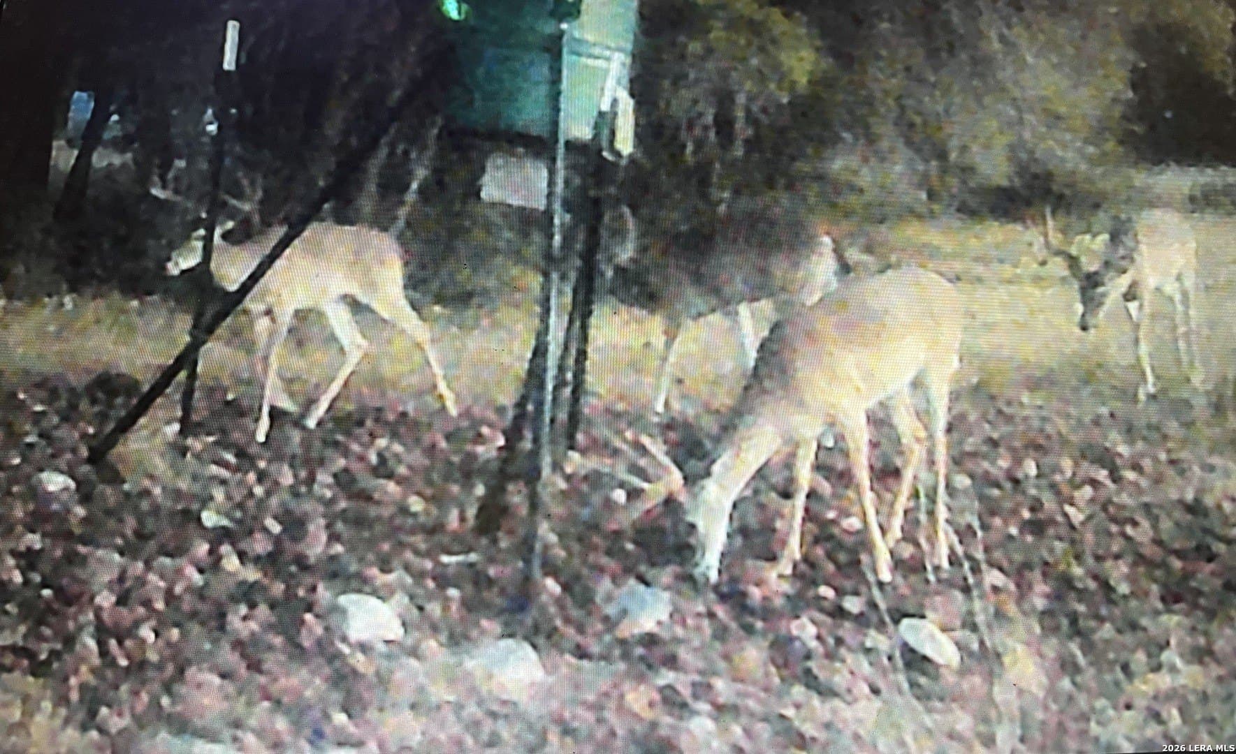 33.93 acres in Edwards County gallery image 2