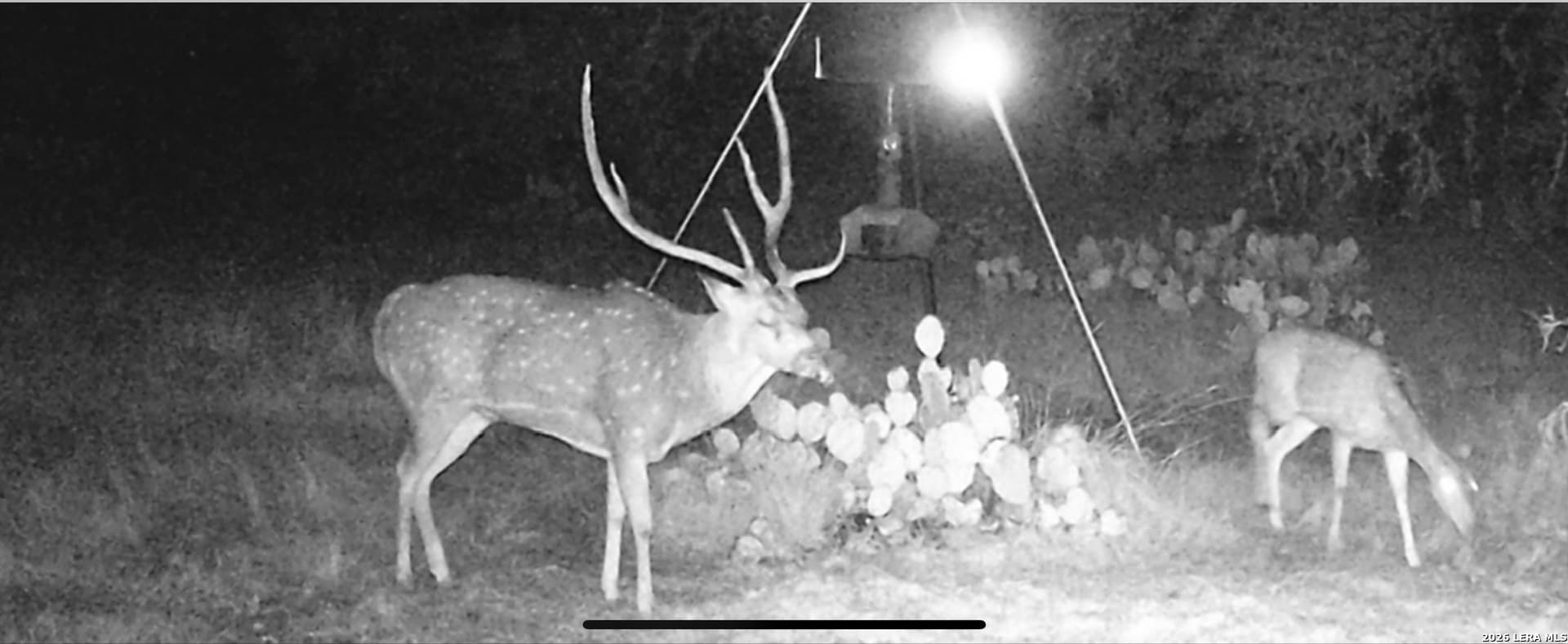 33.93 acres in Edwards County - photo 7