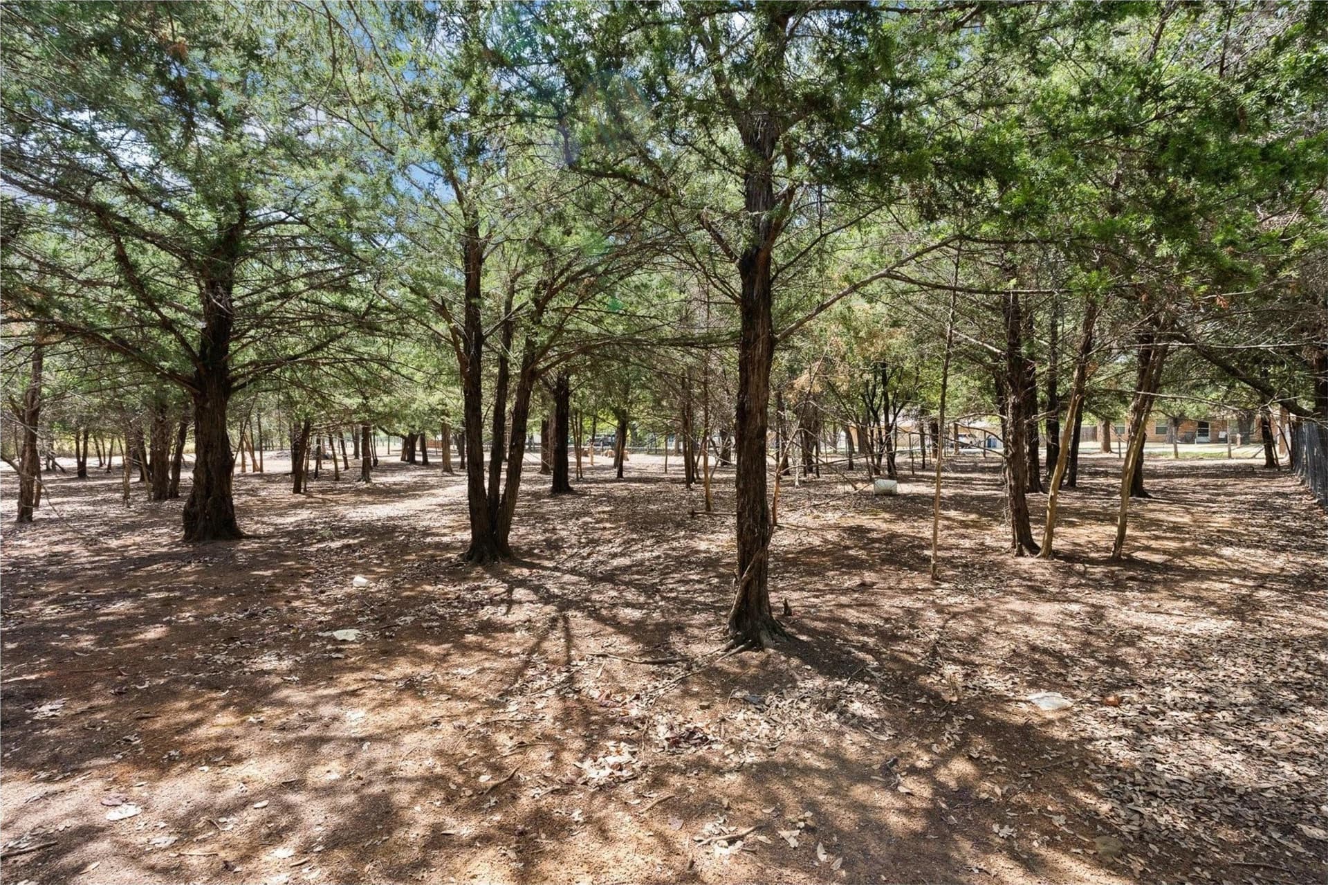 0.23 acres in Johnson County - photo 6