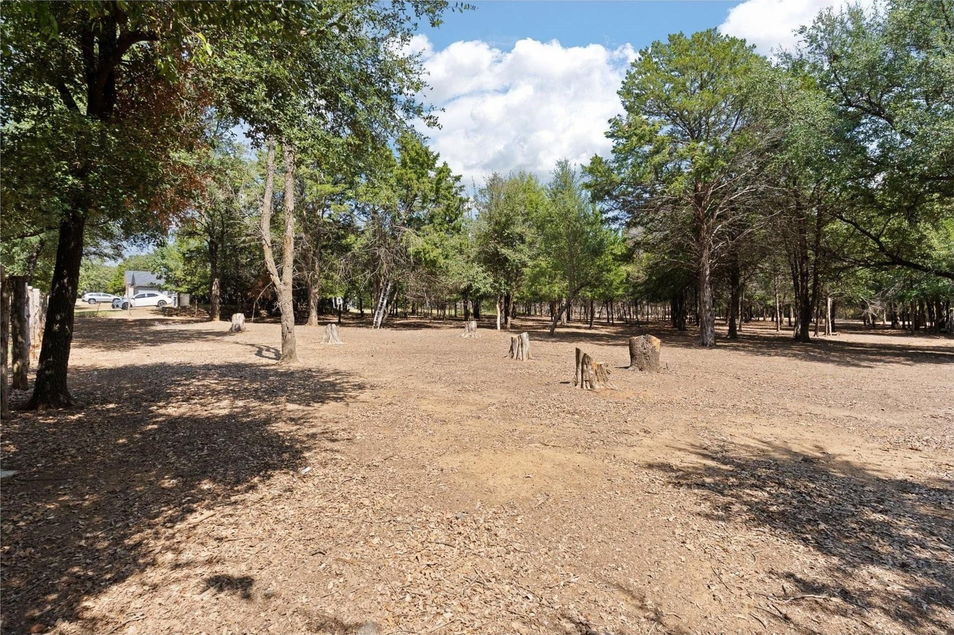 0.23 acres in Johnson County - photo 11