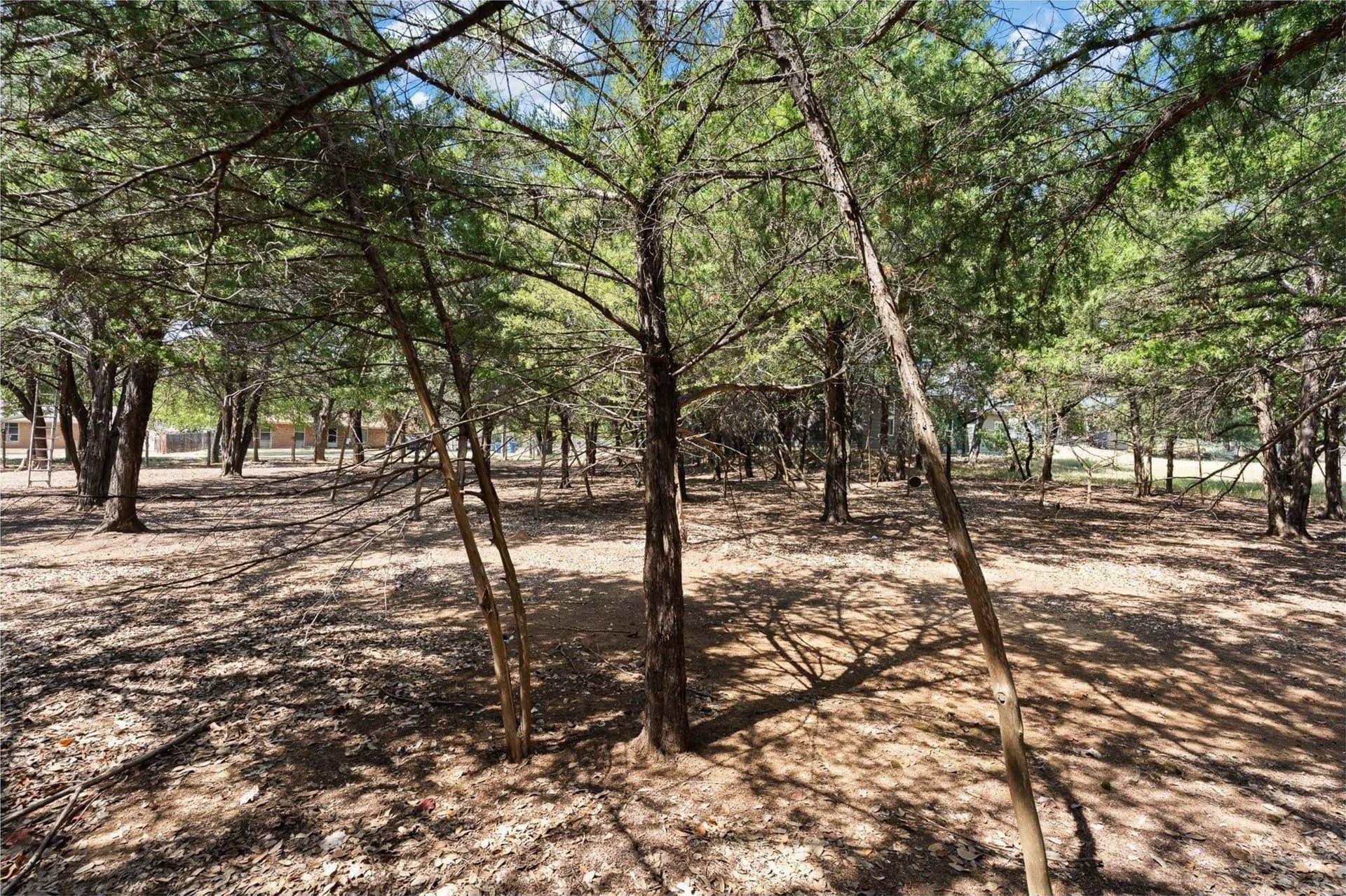 0.23 acres in Johnson County - photo 8
