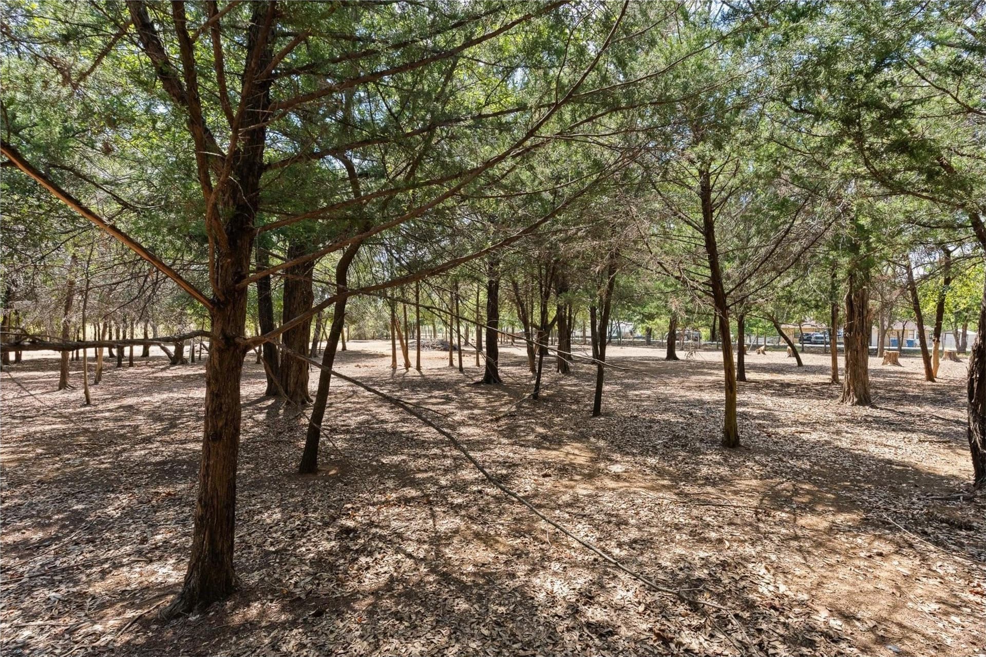 0.23 acres in Johnson County - photo 9