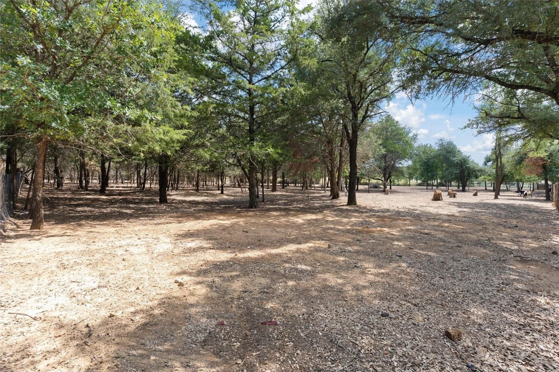 0.23 acres in Johnson County - photo 5