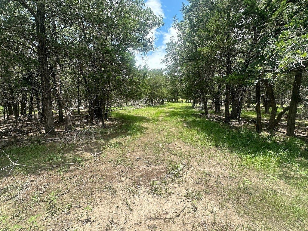 11.18 acres in Fayette County - photo 5