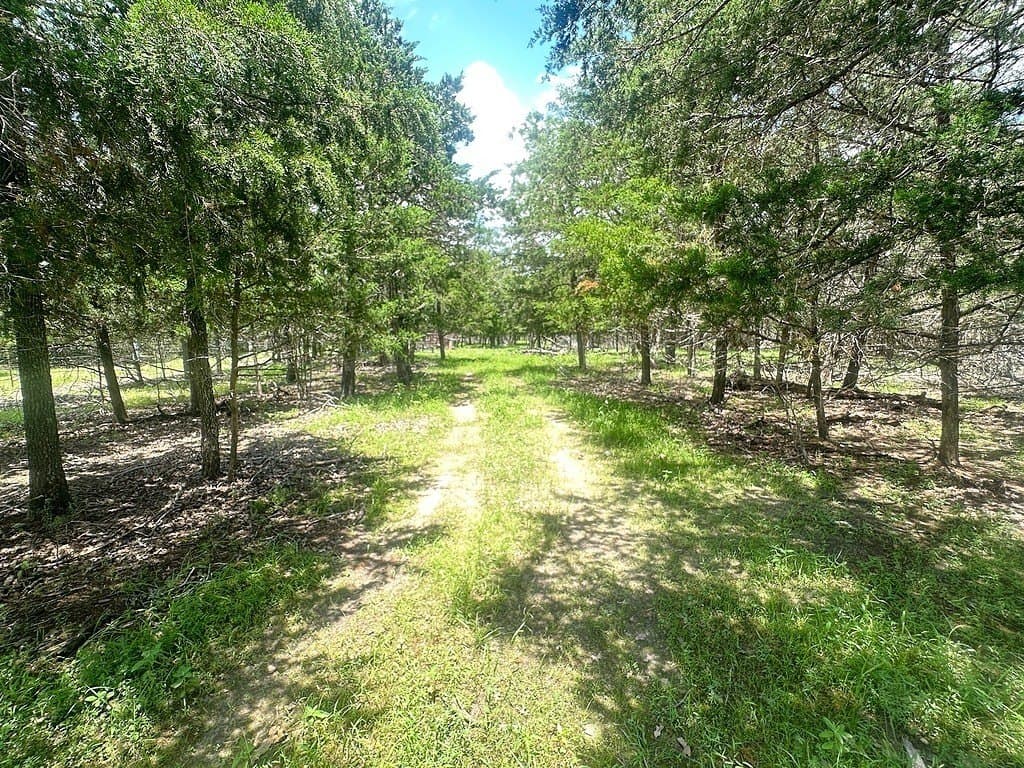 11.18 acres in Fayette County - photo 4