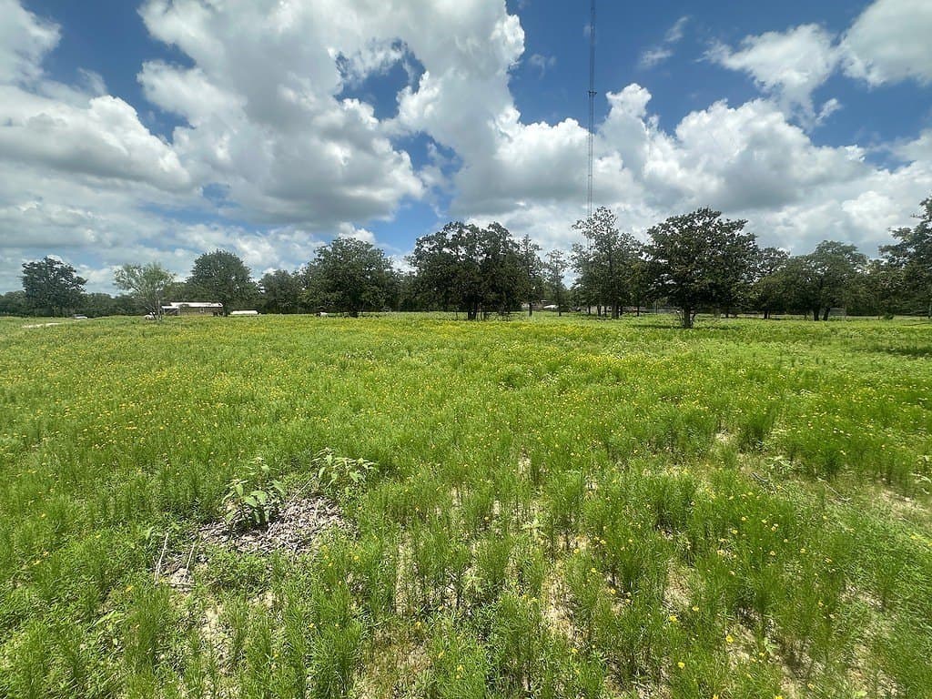 11.18 acres in Fayette County - photo 7