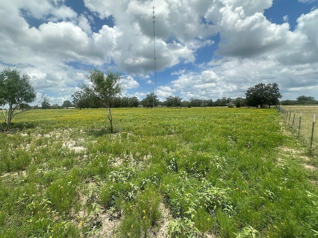 11.18 acres in Fayette County - photo 8