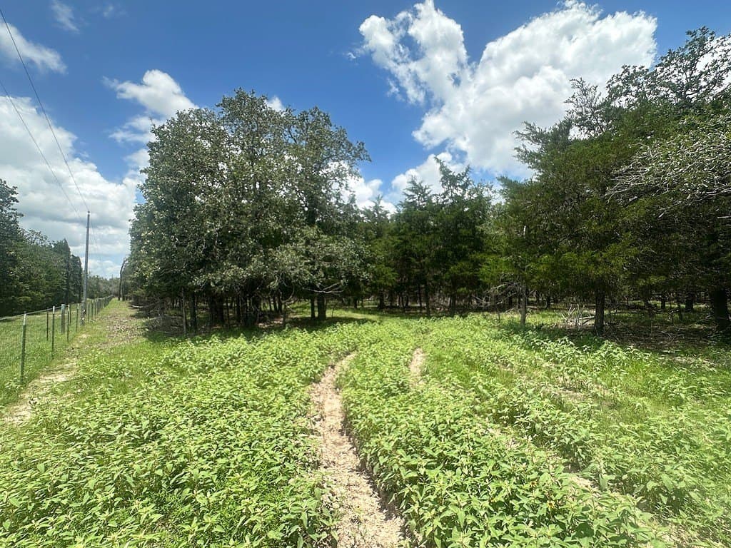 11.18 acres in Fayette County - photo 2