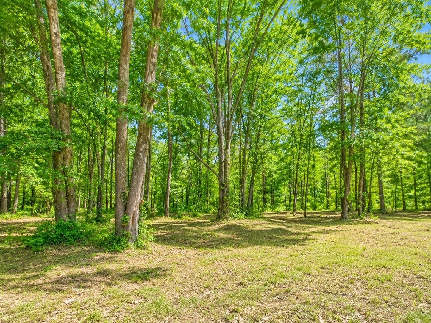 0.96 acres in Wood County - photo 4