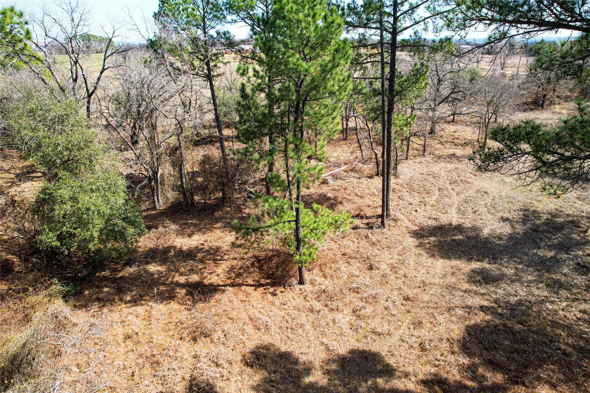 5.01 acres in Hood County gallery image 2