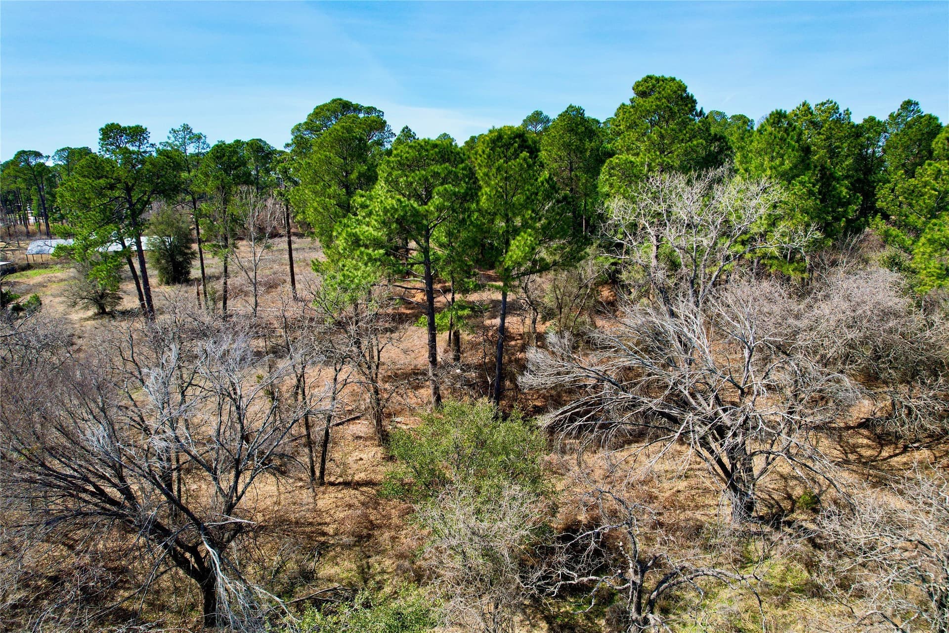 5.01 acres in Hood County gallery image 4