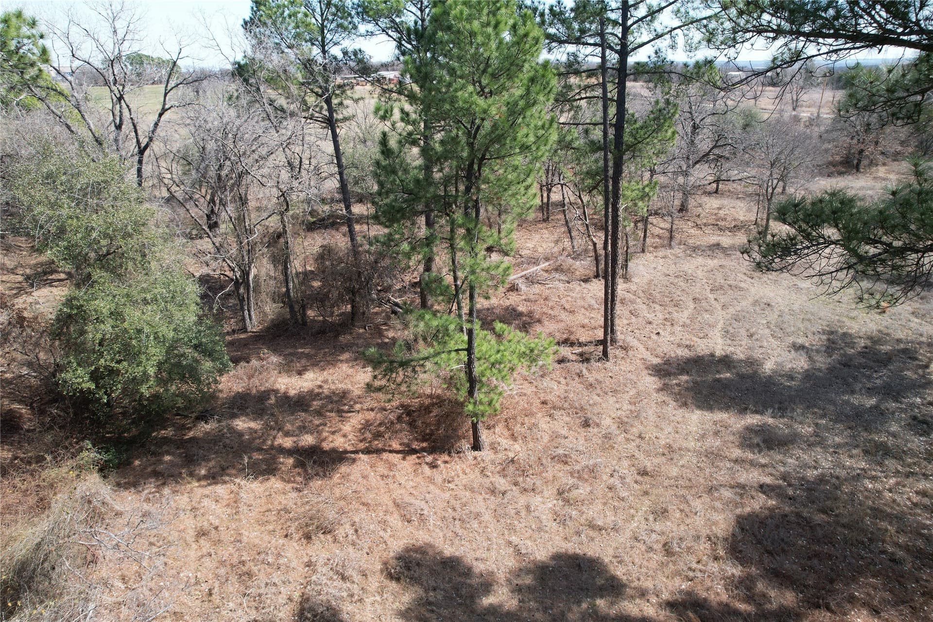 5.01 acres in Hood County gallery image 3