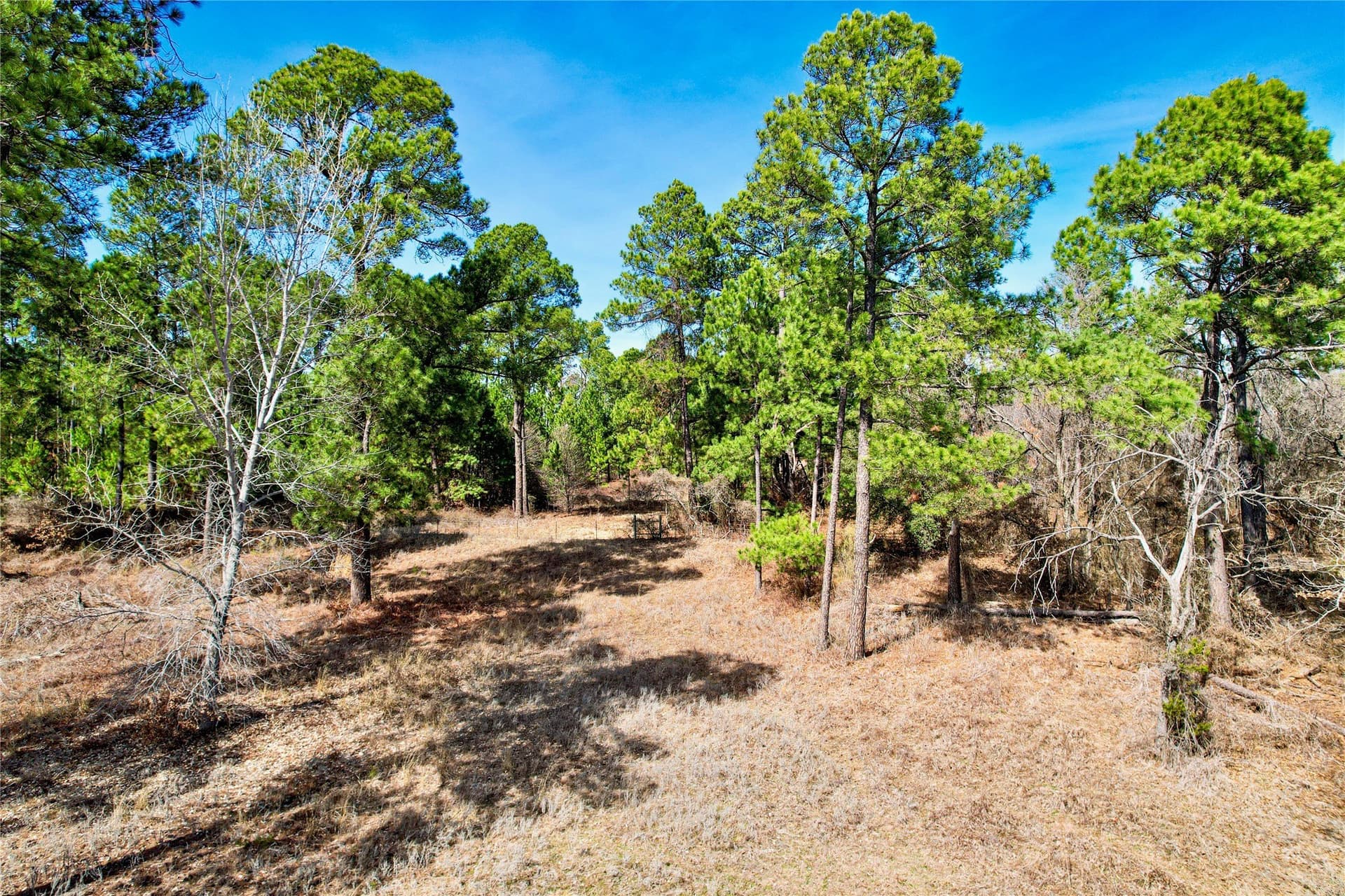 5.01 acres in Hood County - photo 11
