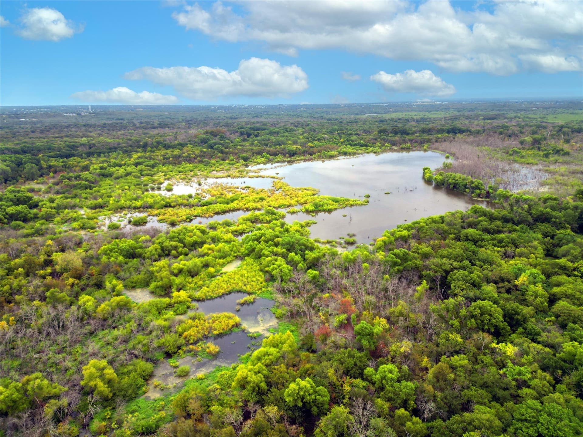 8.4 acres in Denton County gallery image 2