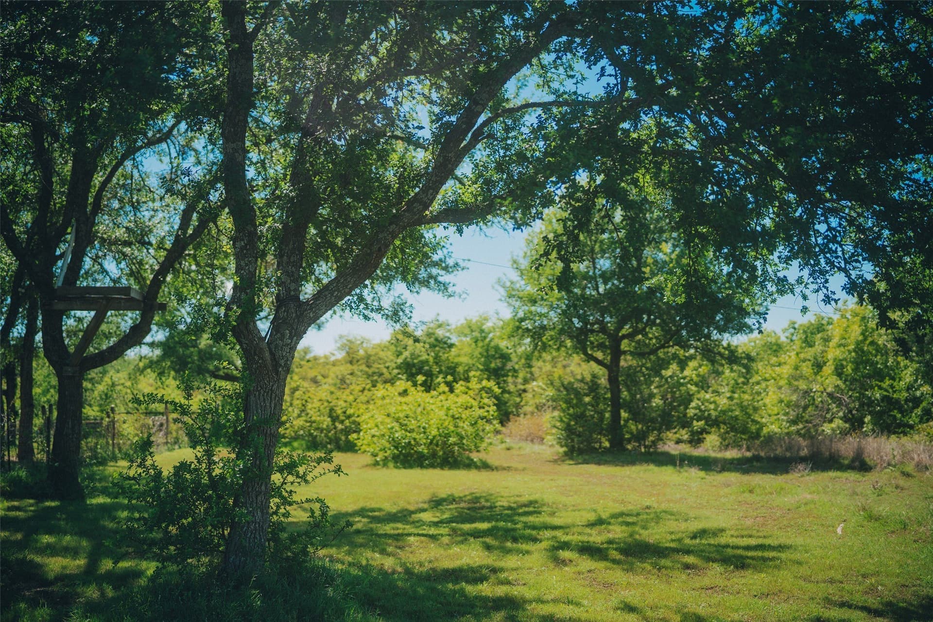 31.88 acres in Parker County - photo 9