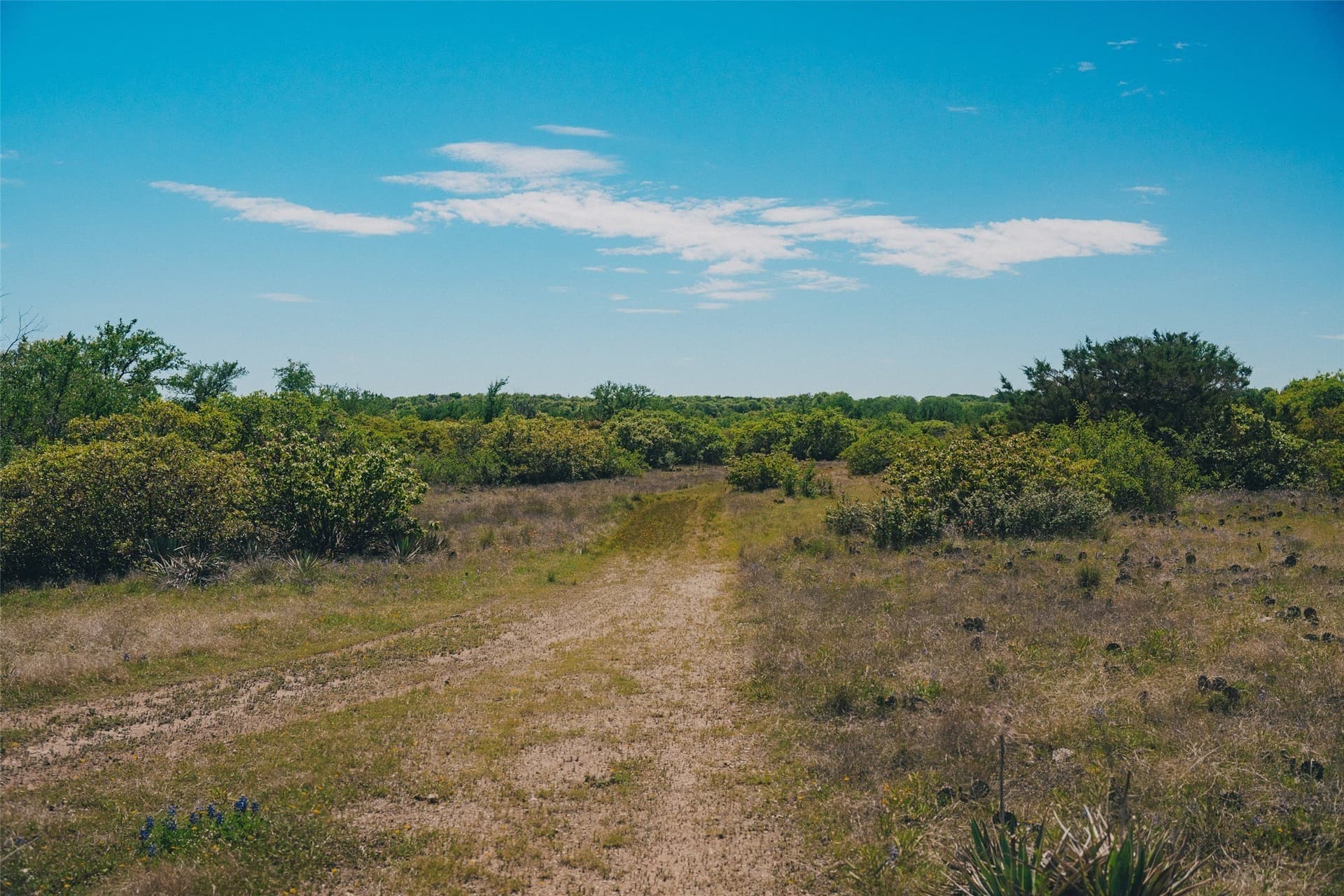 31.88 acres in Parker County - photo 6