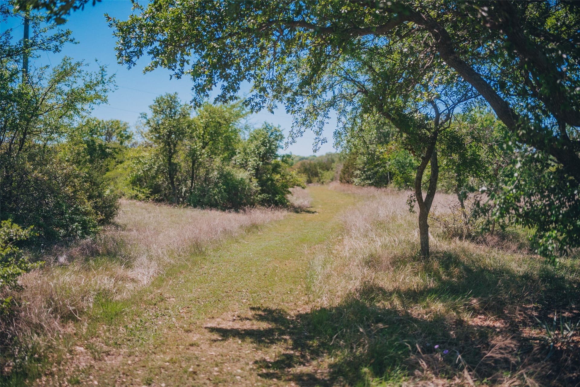 31.88 acres in Parker County featured view