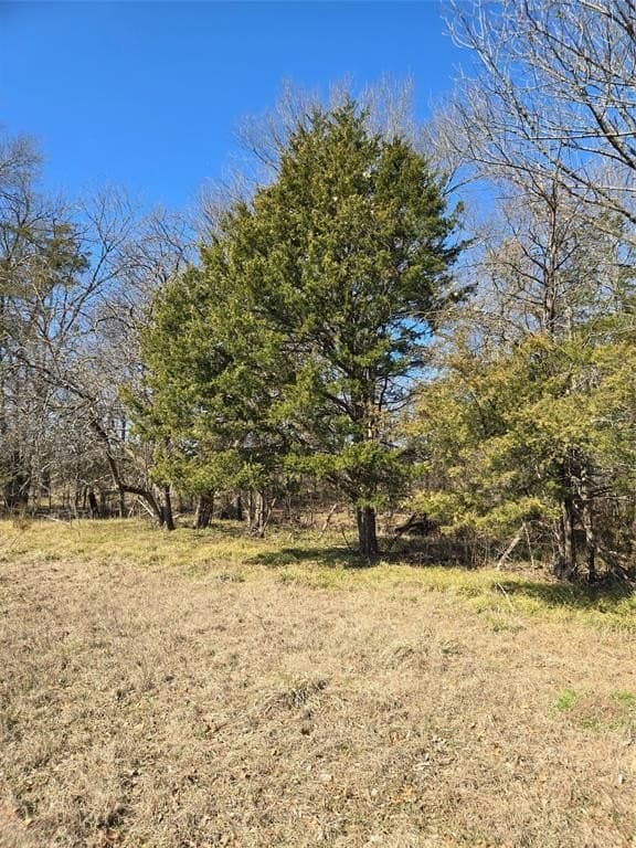 10.16 acres in Hopkins County featured view