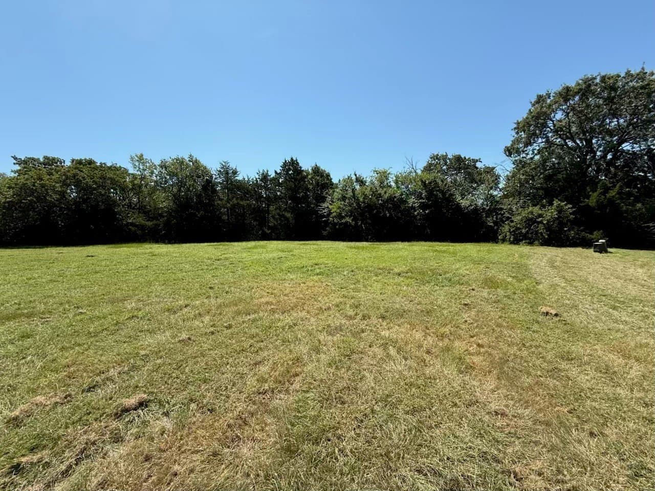 0.31 acres in Grayson County