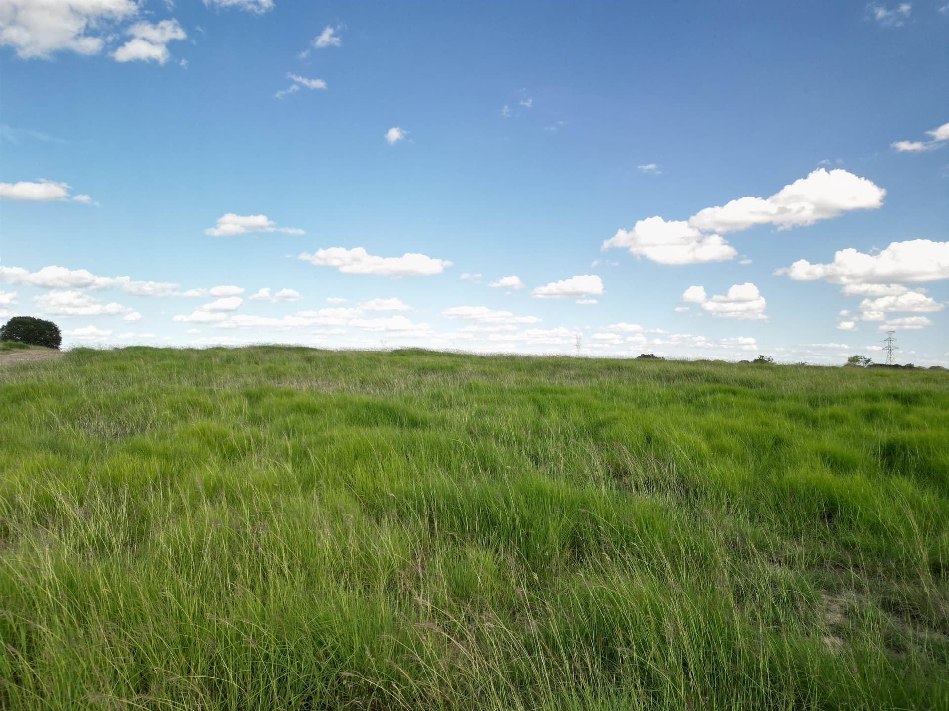 258.94 acres in Brown County gallery image 2