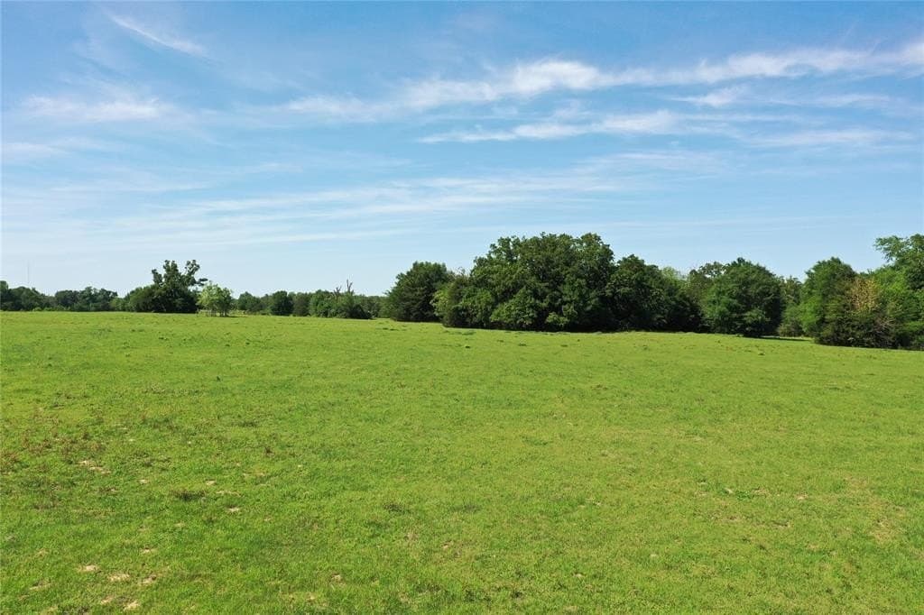 47.17 acres in Freestone County gallery image 3