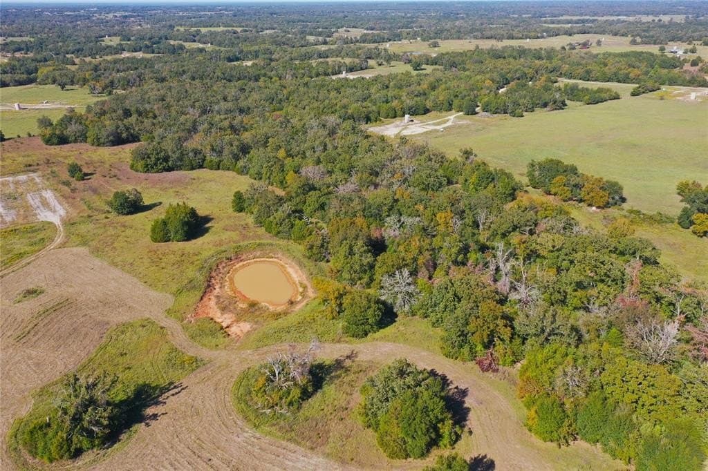 47.17 acres in Freestone County gallery image 2