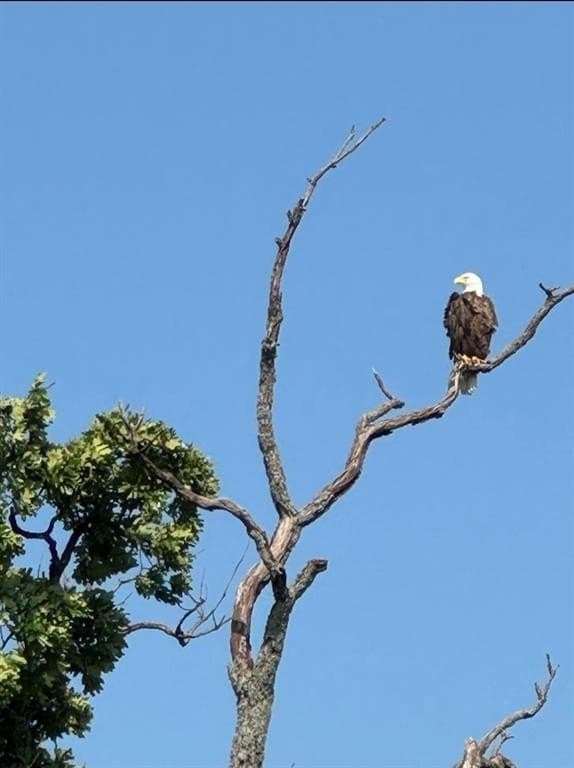 36.43 acres in Wood County