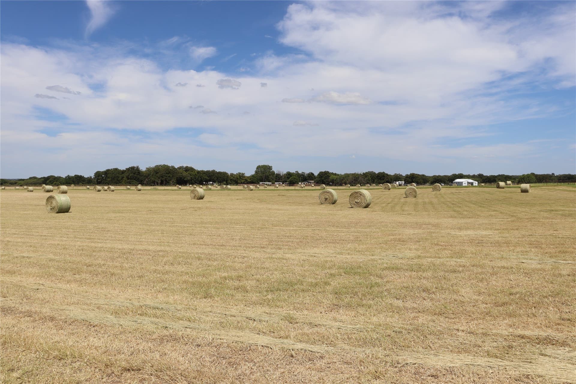 10.11 acres in Comanche County - photo 3