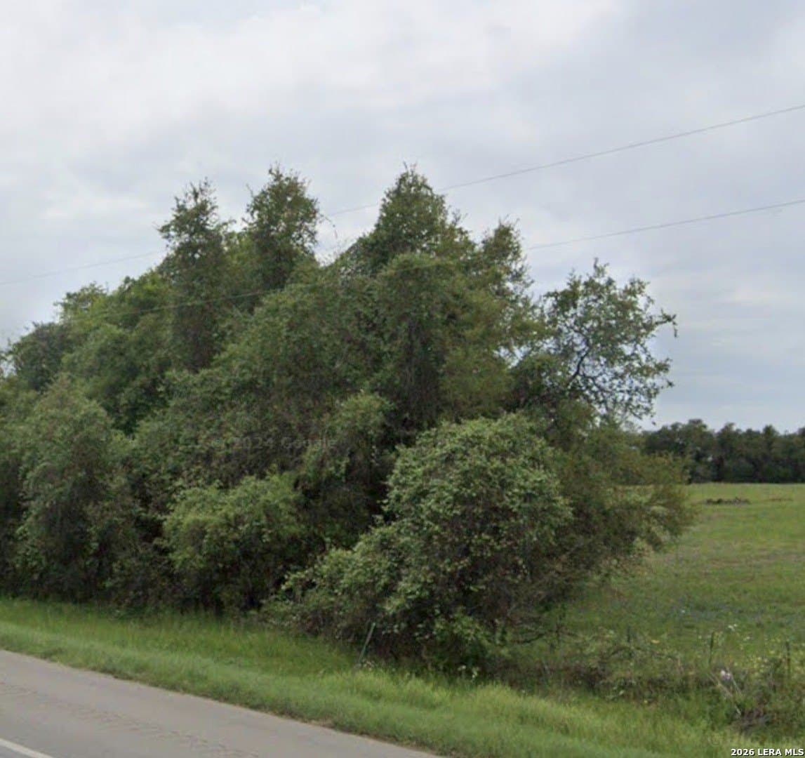11 acres in Wilson County - photo 13
