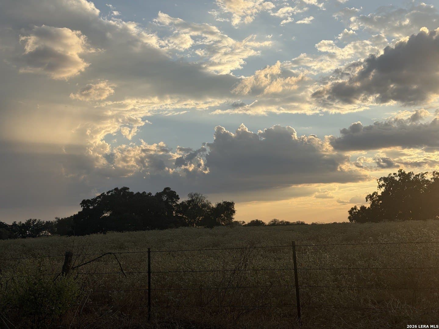 11 acres in Wilson County - photo 10