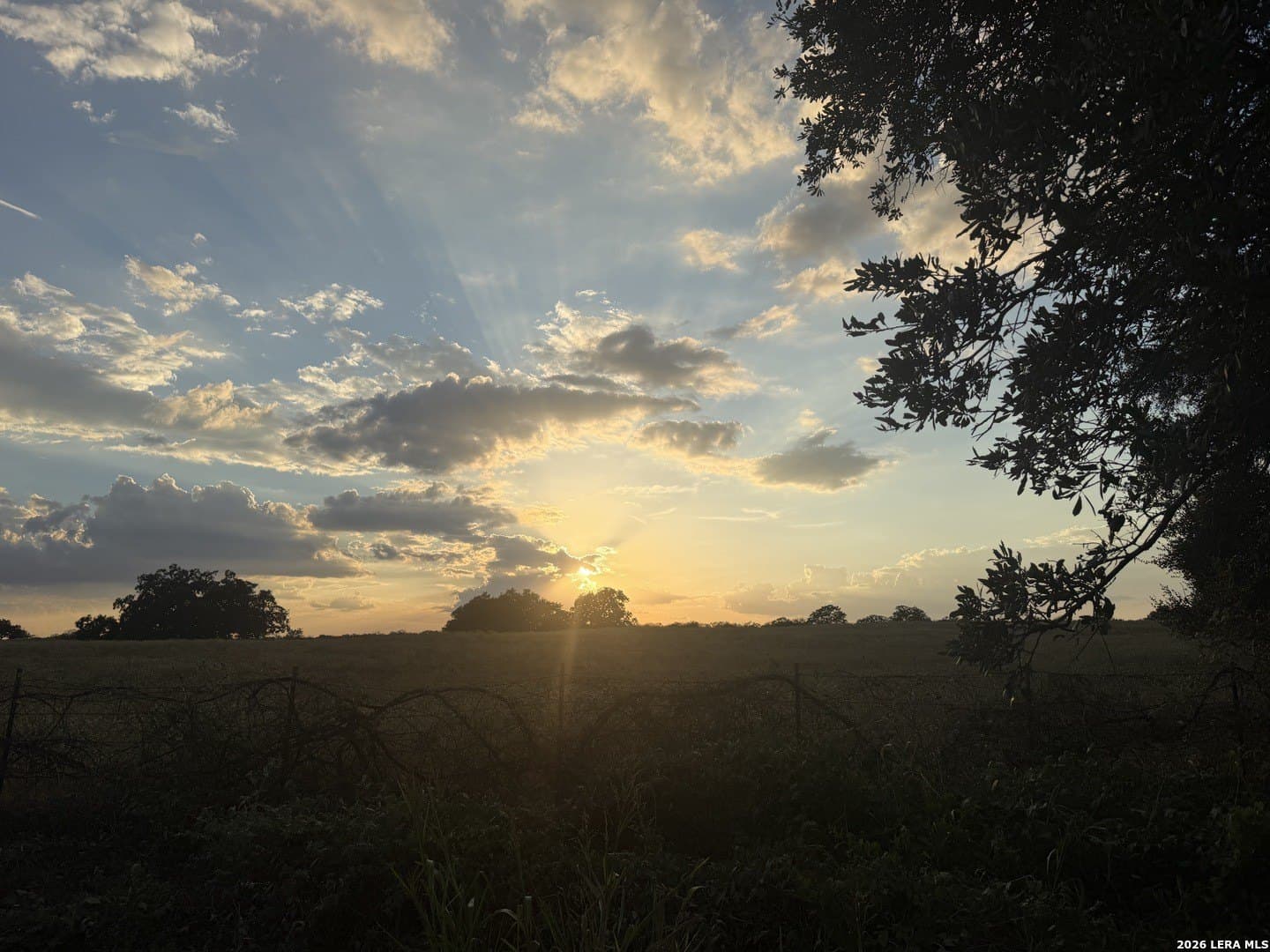 11 acres in Wilson County - photo 8