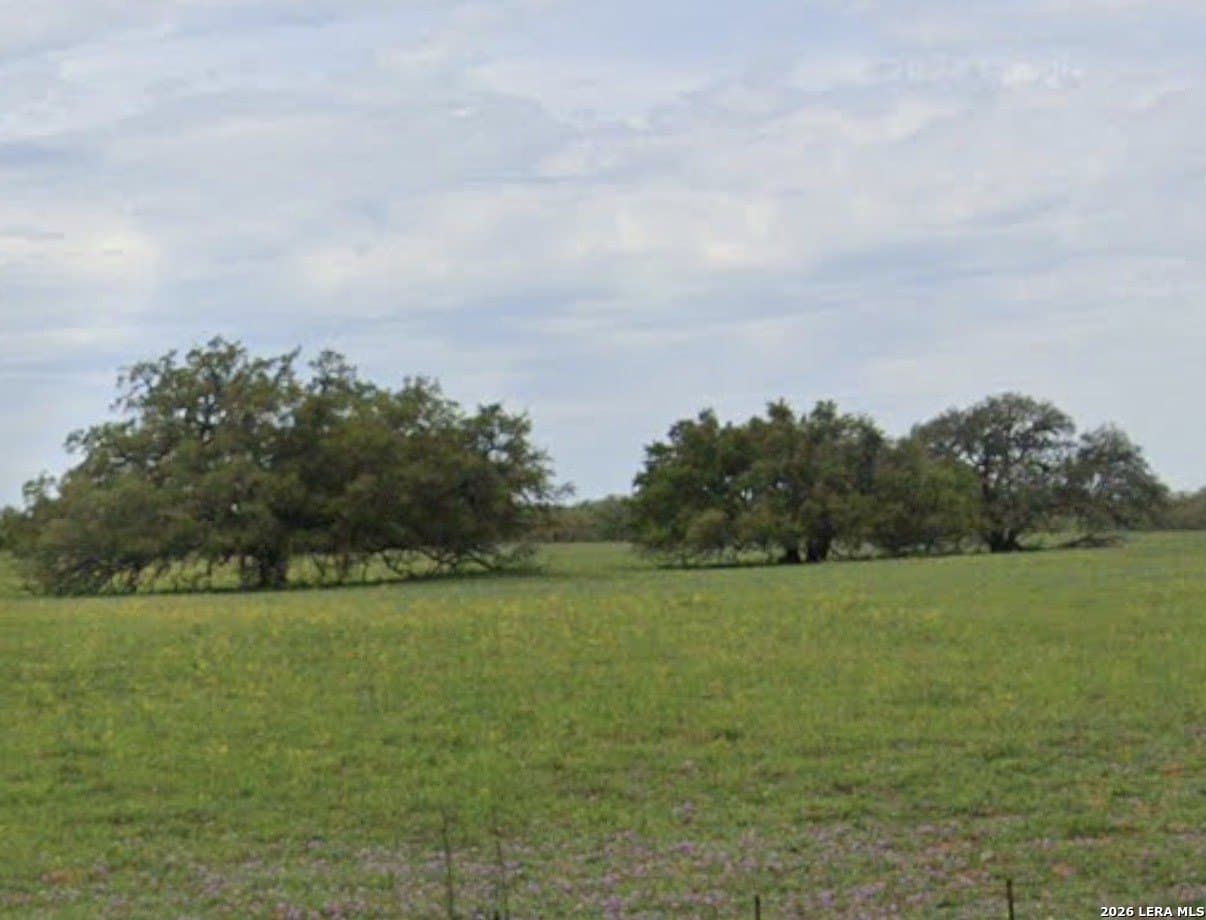 11 acres in Wilson County - photo 2