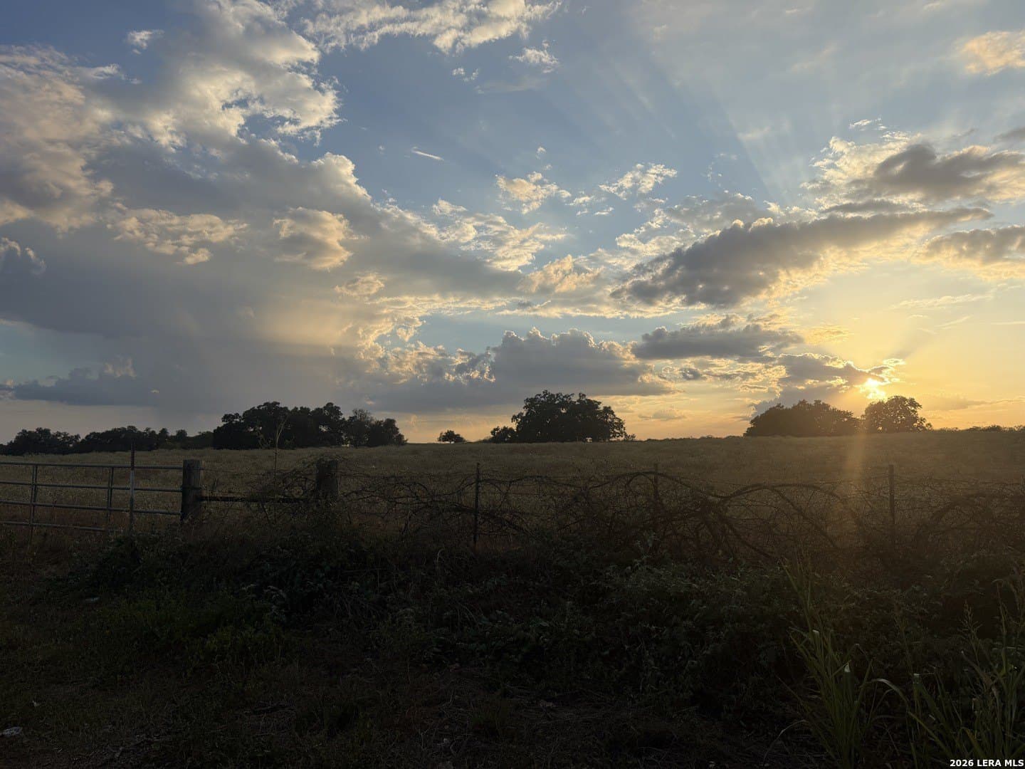 11 acres in Wilson County - photo 4