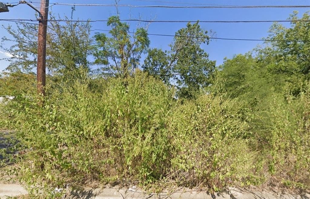 0.13 acres in Caldwell (TX) County gallery image 2