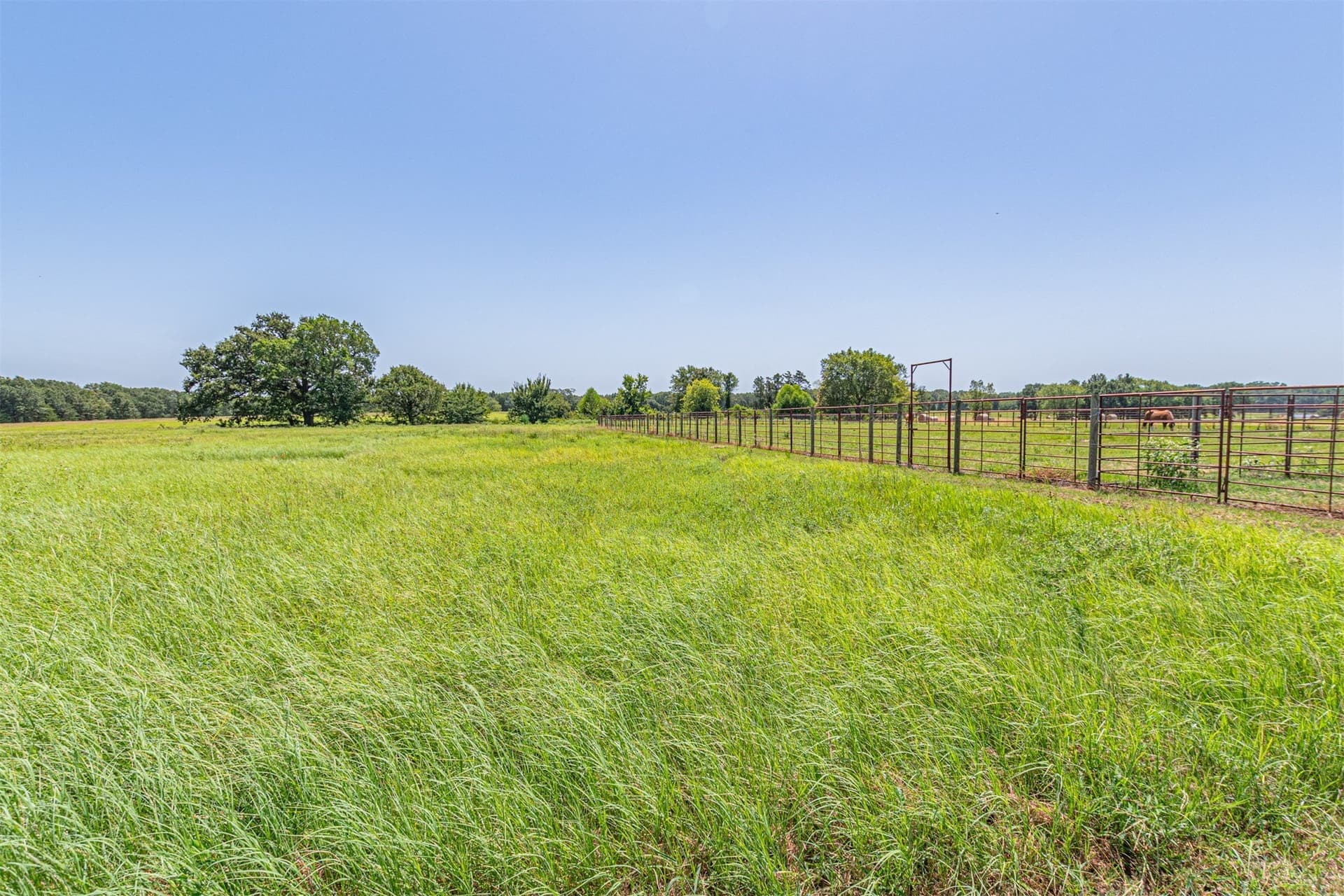 35.98 acres in Rains County - photo 25