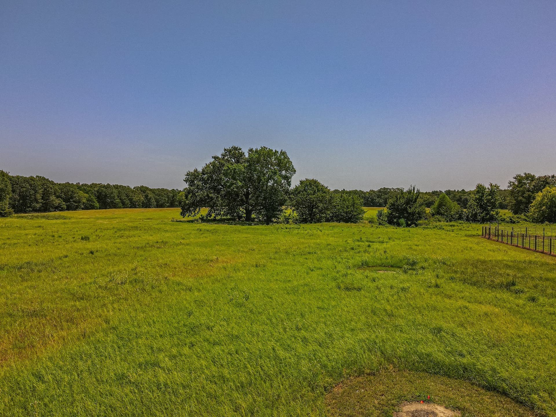 35.98 acres in Rains County - photo 37