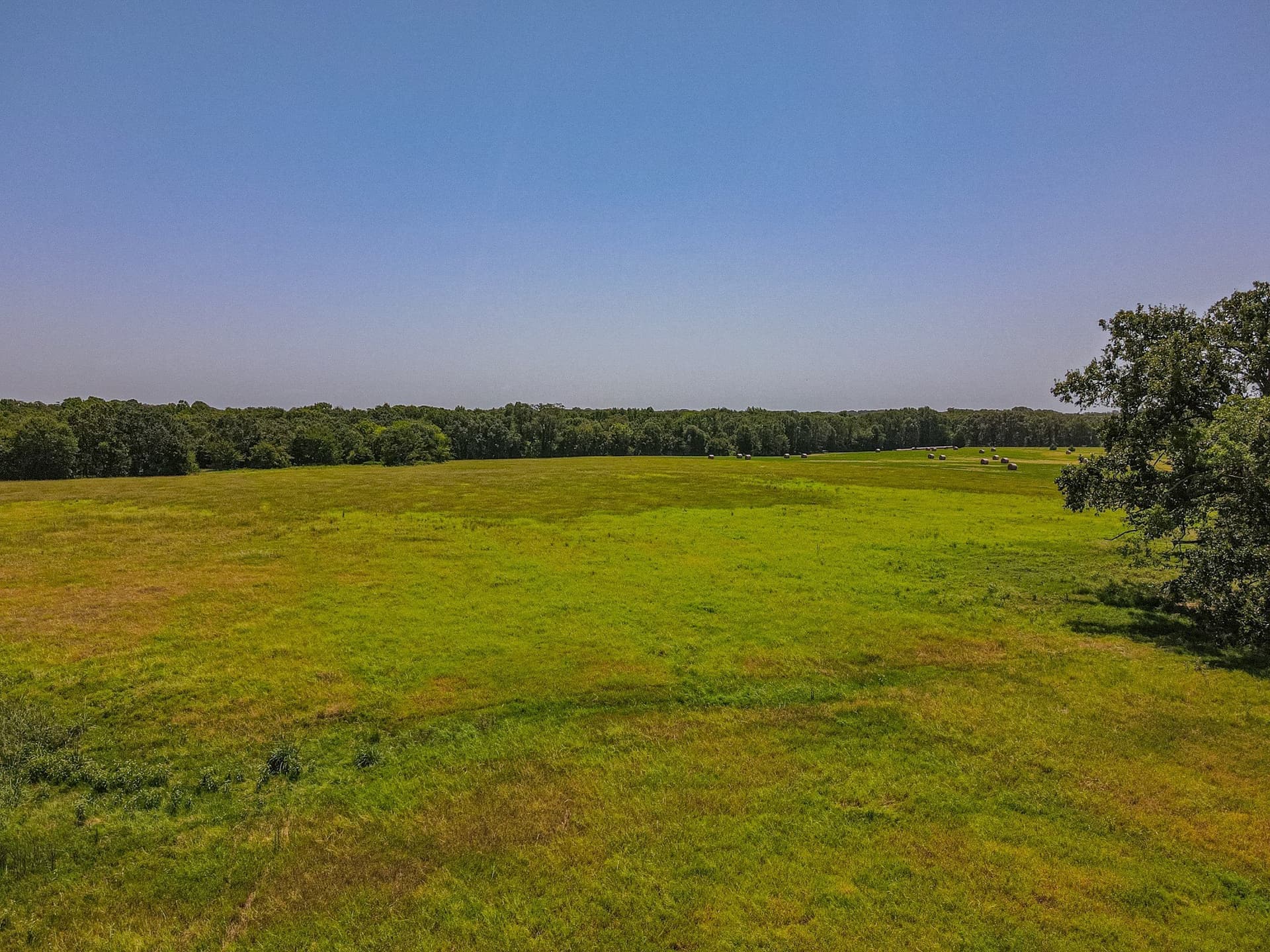 35.98 acres in Rains County - photo 38