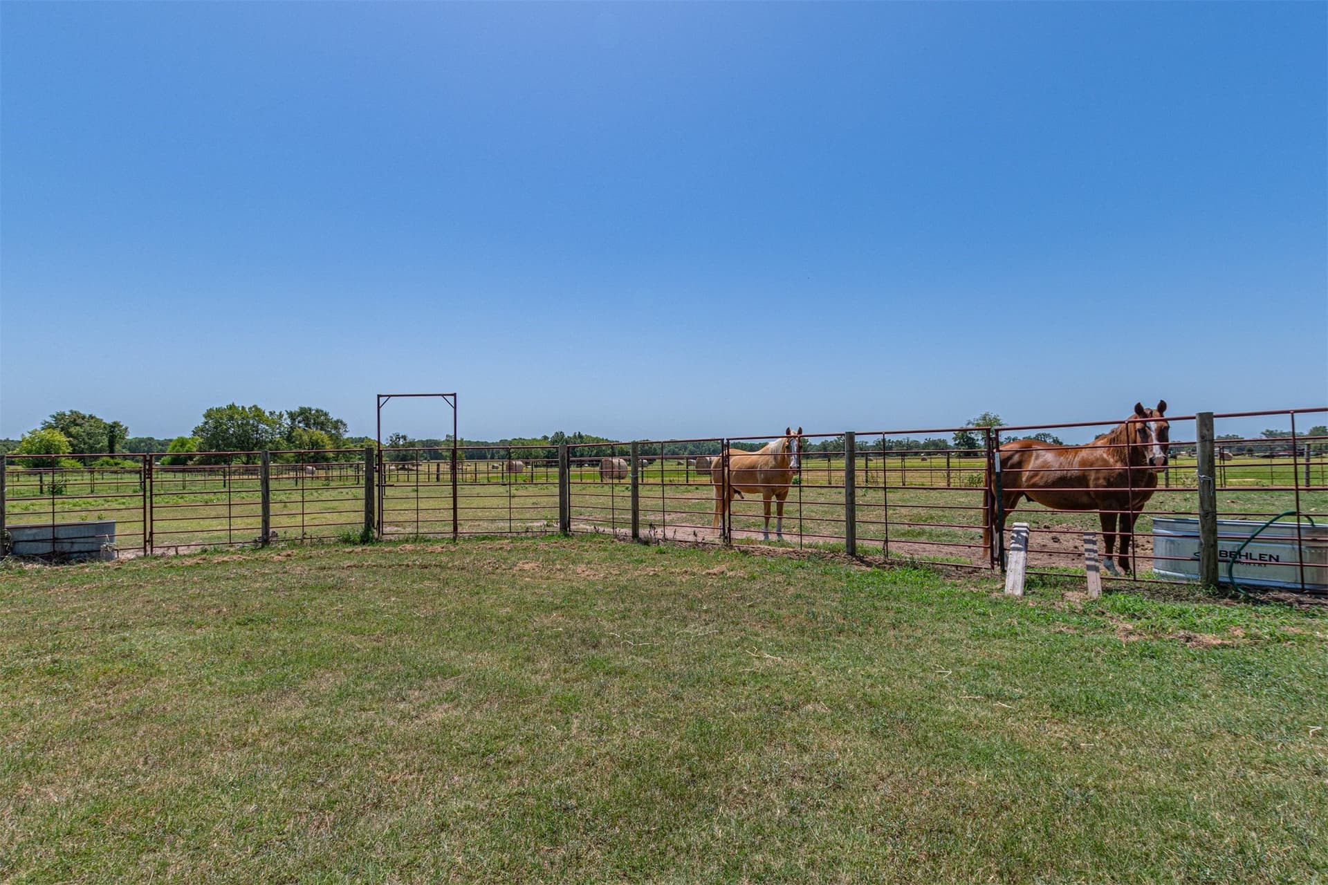 35.98 acres in Rains County - photo 32