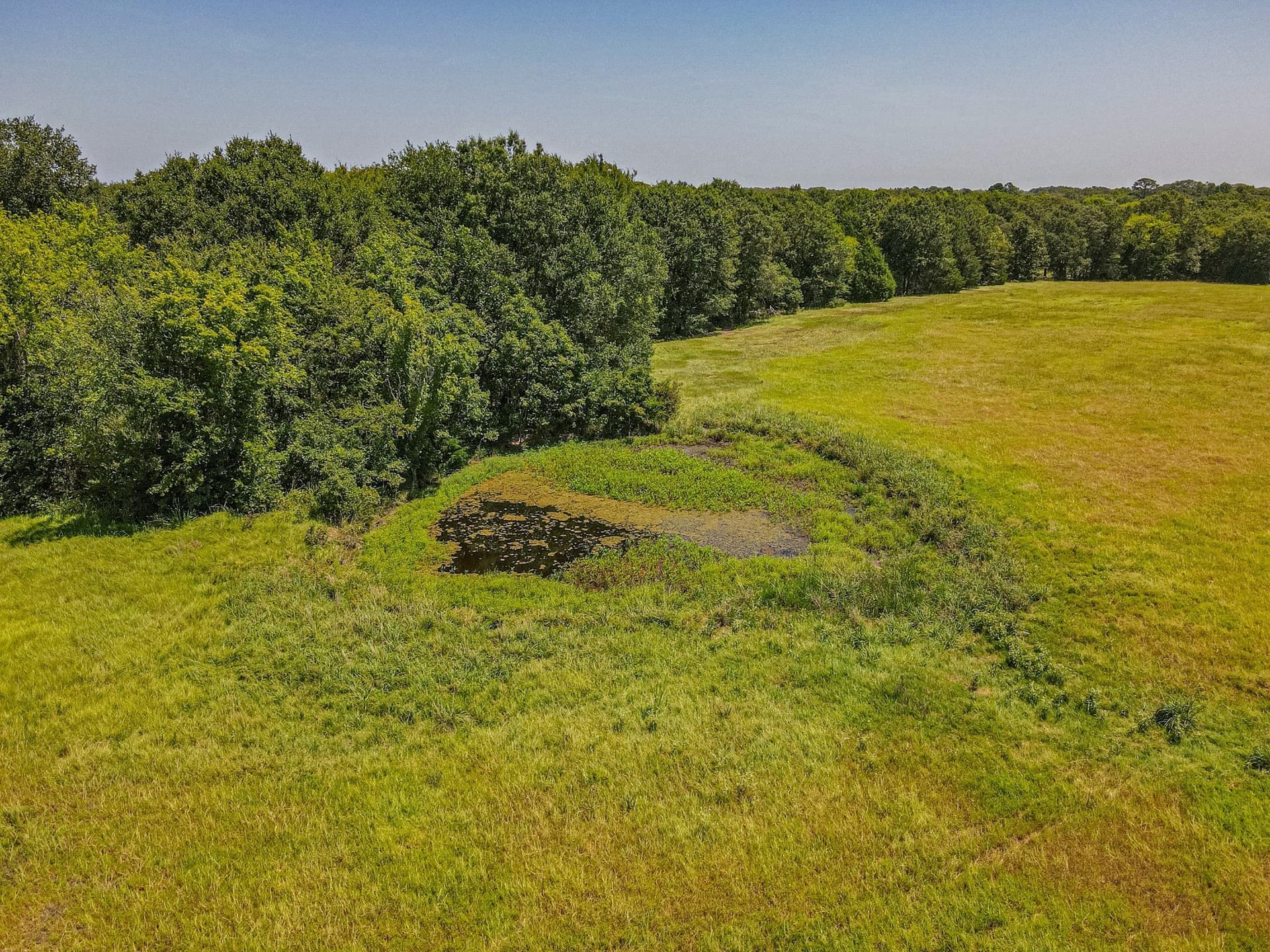 35.98 acres in Rains County - photo 27