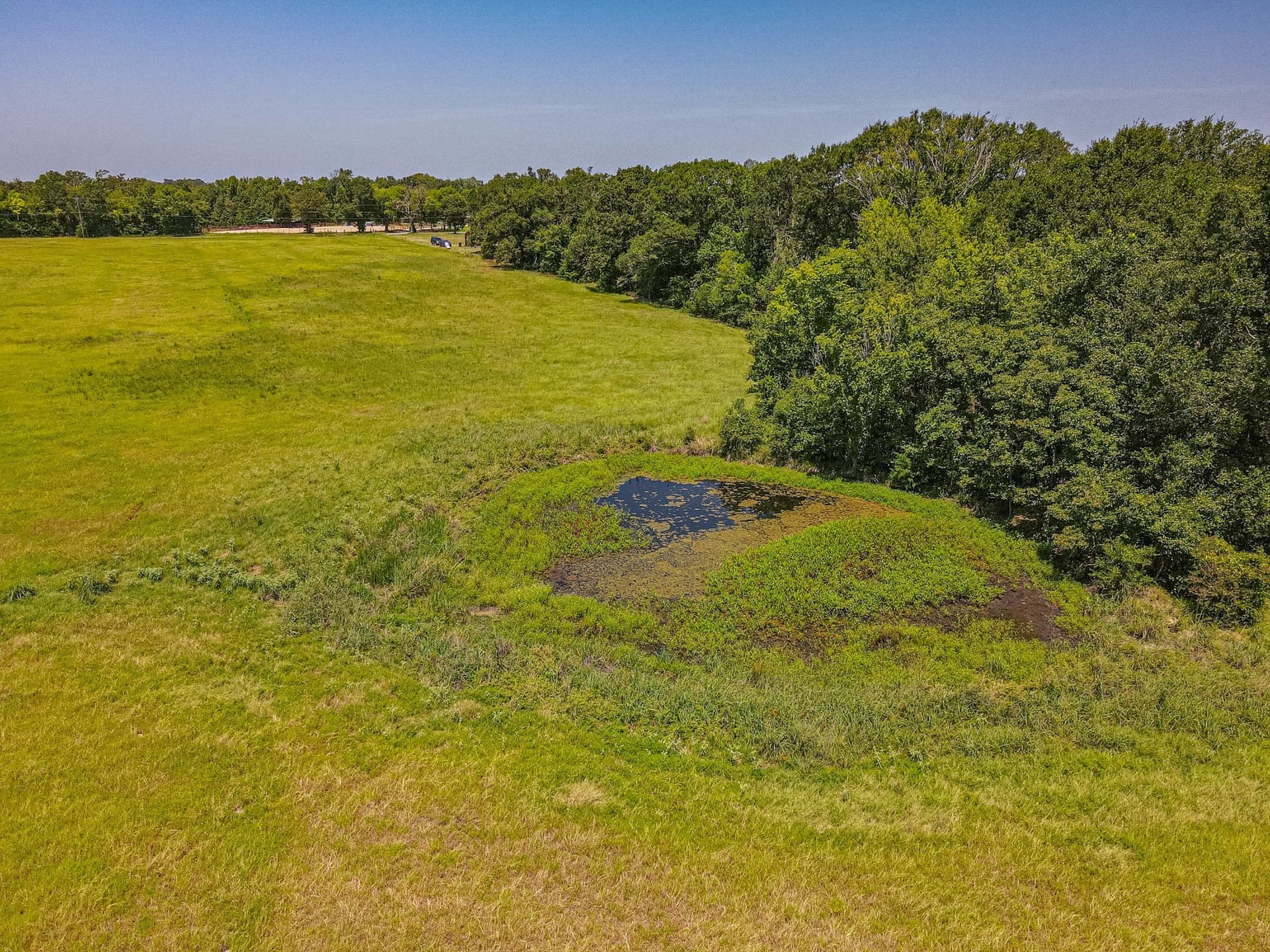 35.98 acres in Rains County - photo 26