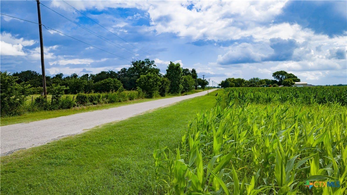 59.5 acres in Guadalupe County - photo 6