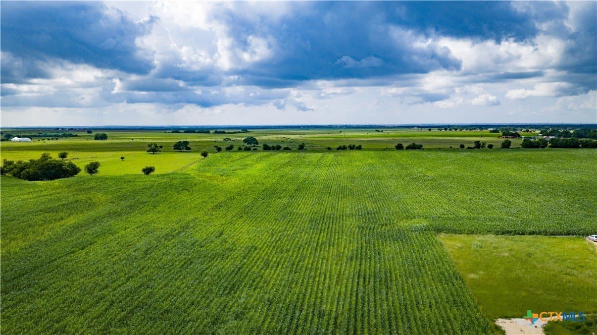 59.5 acres in Guadalupe County - photo 8