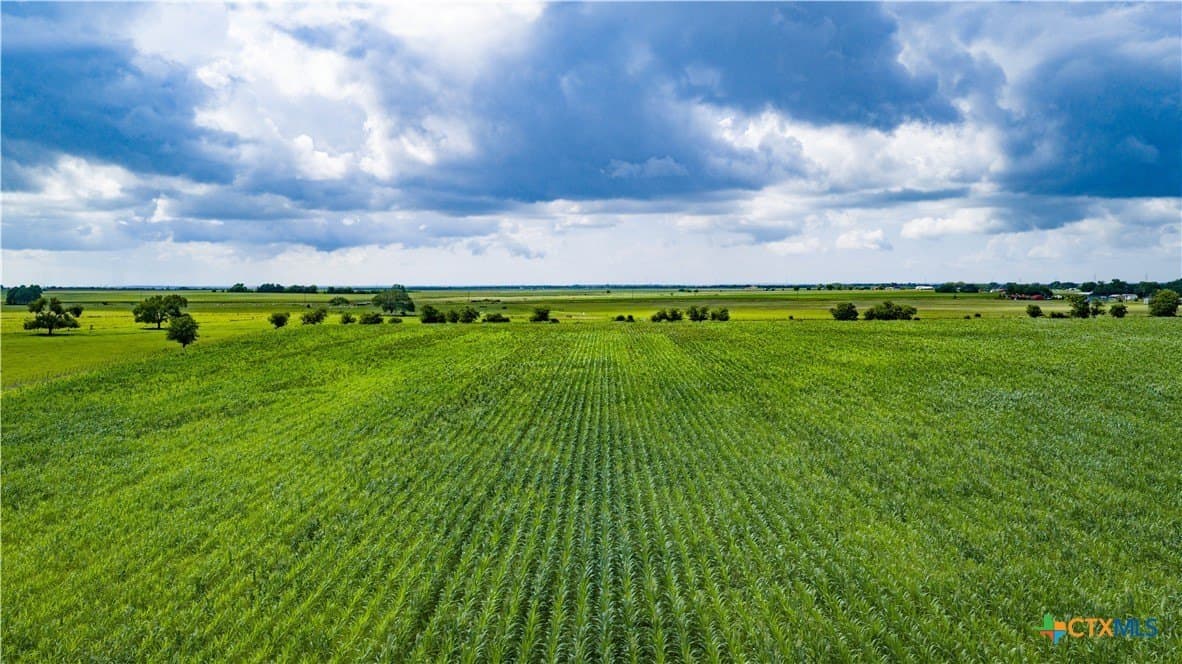 59.5 acres in Guadalupe County - photo 10