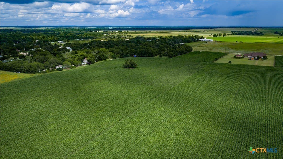 59.5 acres in Guadalupe County - photo 17