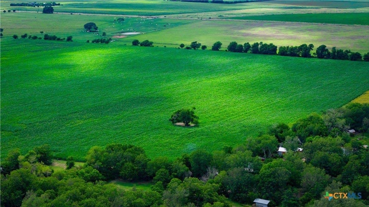 59.5 acres in Guadalupe County - photo 29