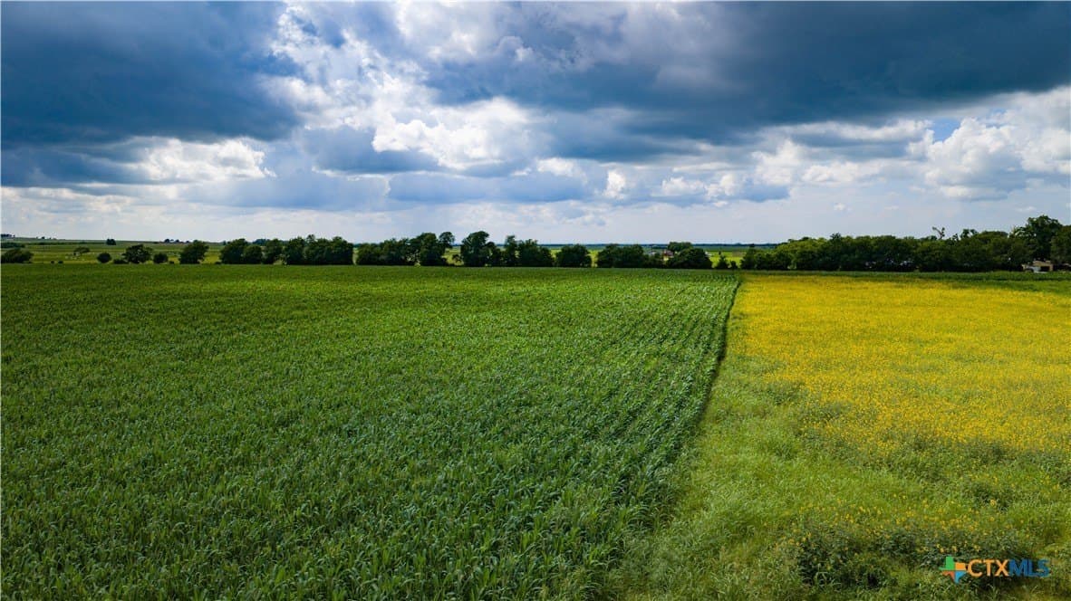 59.5 acres in Guadalupe County - photo 21