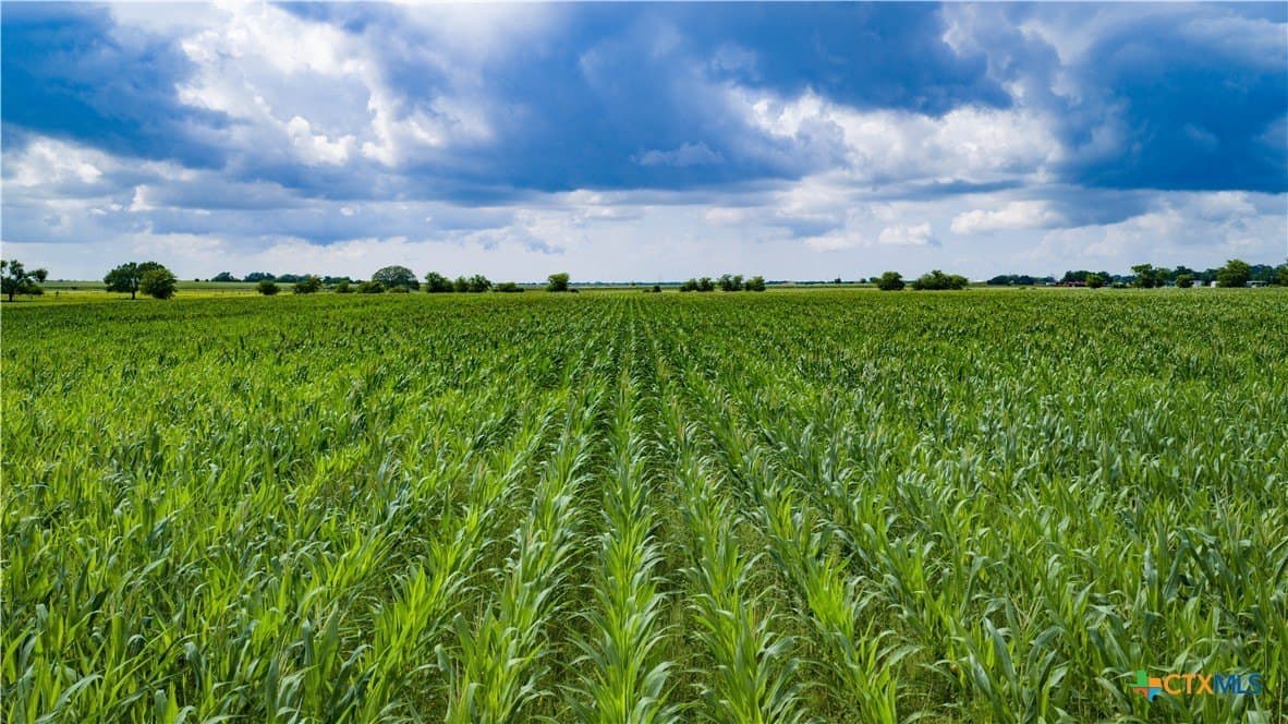59.5 acres in Guadalupe County - photo 11