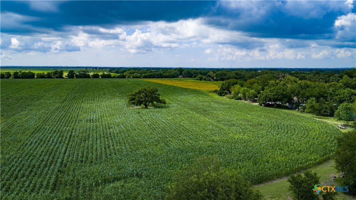 59.5 acres in Guadalupe County - photo 23